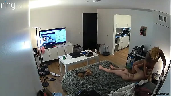 Hidden Camera catches cheating BLM Neighbor Fucking My Teen Wife in My own Bed